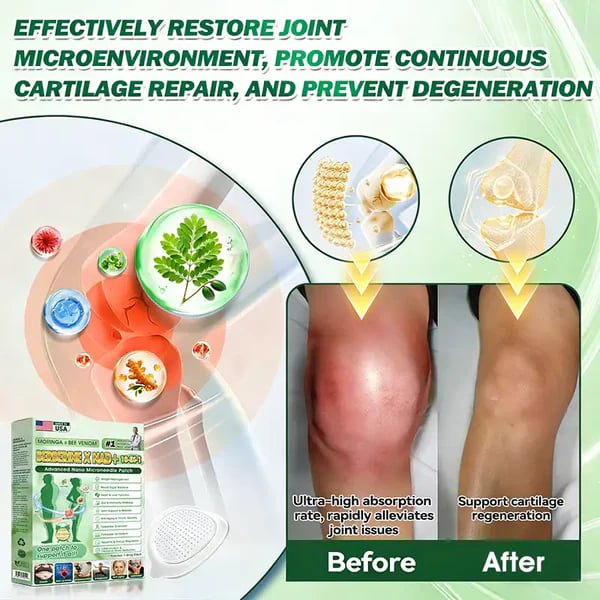 Moringa Berberine 10-in-1 Advanced Nano Microneedle Patch BEST